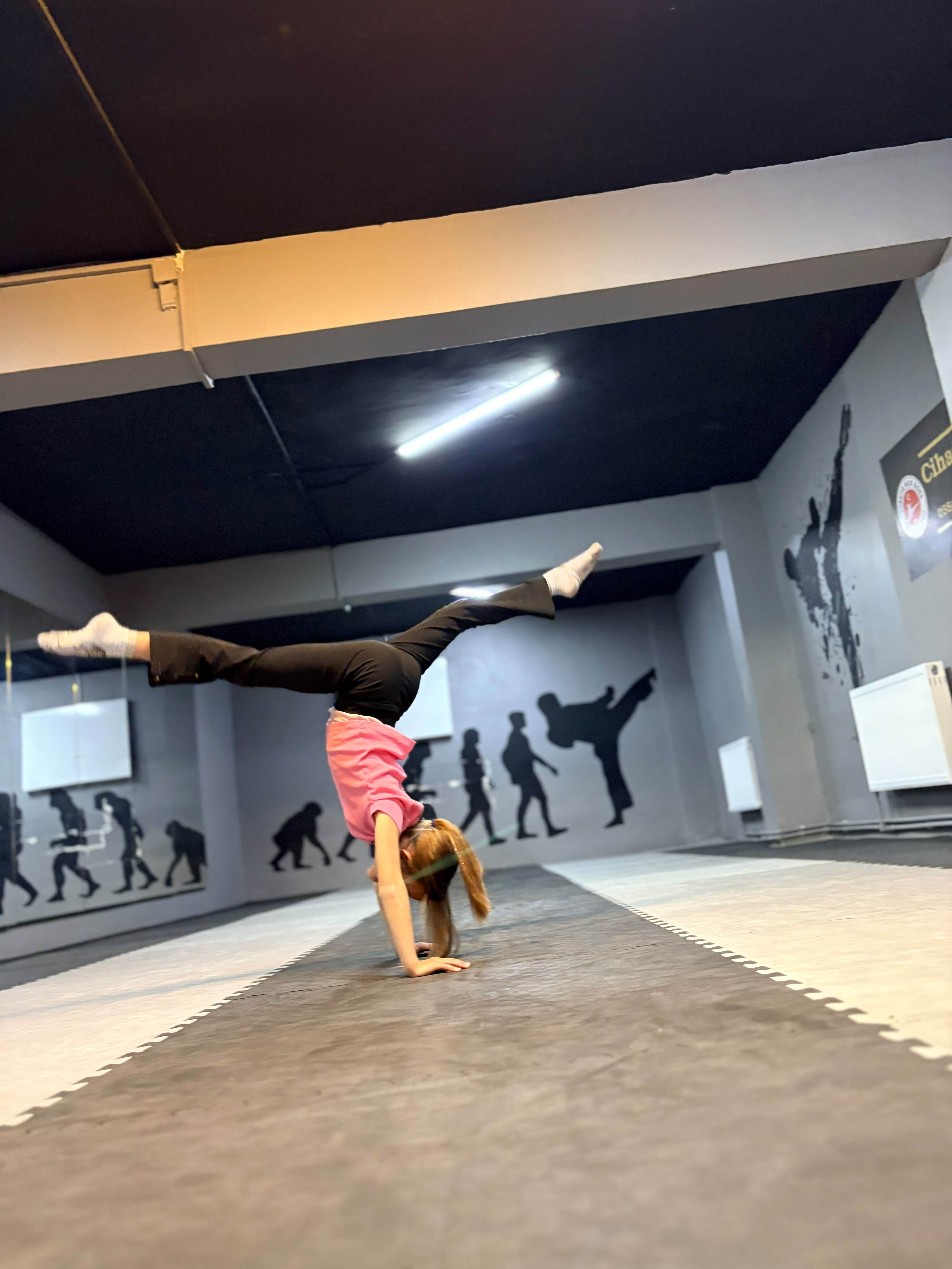 Arı Fıght Club cimnastik fotoğrafı 4