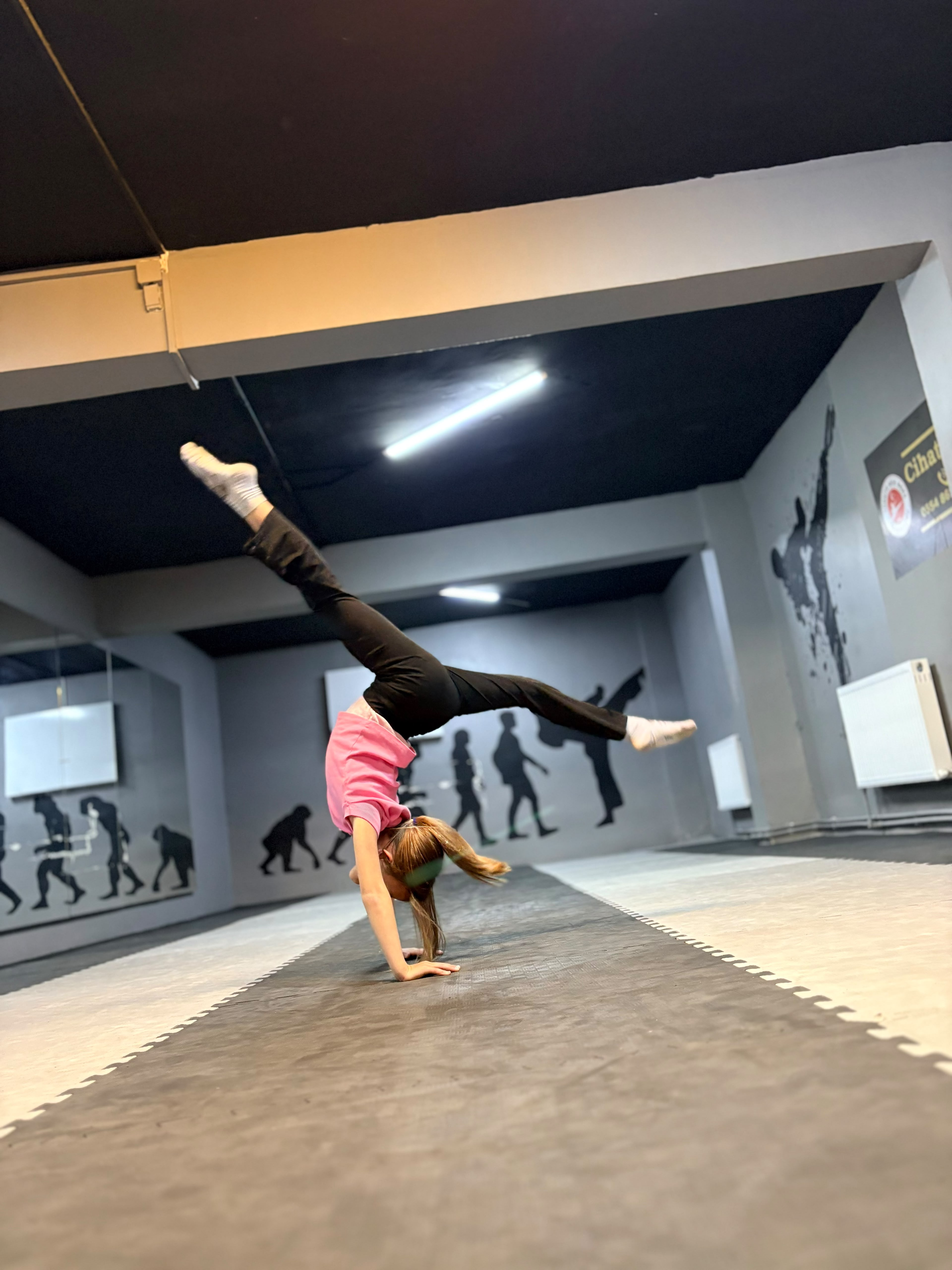 Arı Fıght Club cimnastik fotoğrafı 5